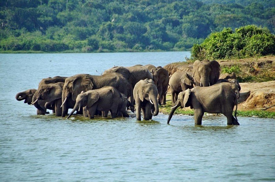 Kazinga channel, bunyangabu tours, uganda safaris